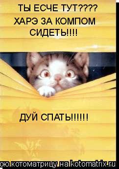 ТЫ ЕСЧЕ ТУТ???? ХАРЭ ЗА КОМПОМ СИДЕТЬ!!!! ДУЙ СПАТЬ!!!!!!... Котоматрица: ТЫ ЕСЧЕ ТУТ???? ХАРЭ ЗА КОМПОМ СИДЕТЬ!!!! ДУЙ СПАТЬ!!!!!!