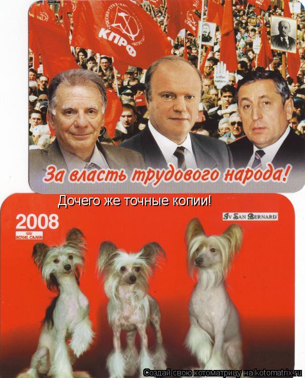 Дочего же точные копии!... Котоматрица: Дочего же точные копии!
