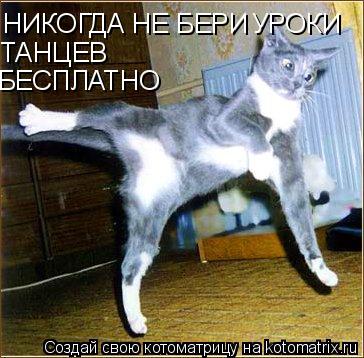 НИКОГДА НЕ БЕРИ УРОКИ ТАНЦЕВ БЕСПЛАТНО... Котоматрица: НИКОГДА НЕ БЕРИ УРОКИ ТАНЦЕВ БЕСПЛАТНО