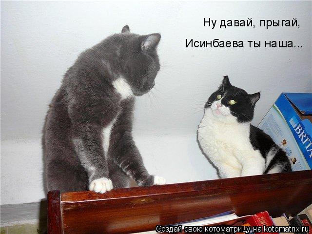 Ну давай, прыгай, Исинбаева ты наша...... Котоматрица: Ну давай, прыгай, Исинбаева ты наша...