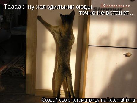 Таааак, ну холодильник сюды точно не встанет...... Котоматрица: Таааак, ну холодильник сюды точно не встанет...