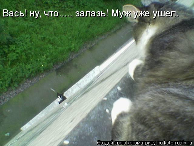 Вась! ну, что..... залазь! Муж уже ушел.... Котоматрица: Вась! ну, что..... залазь! Муж уже ушел.