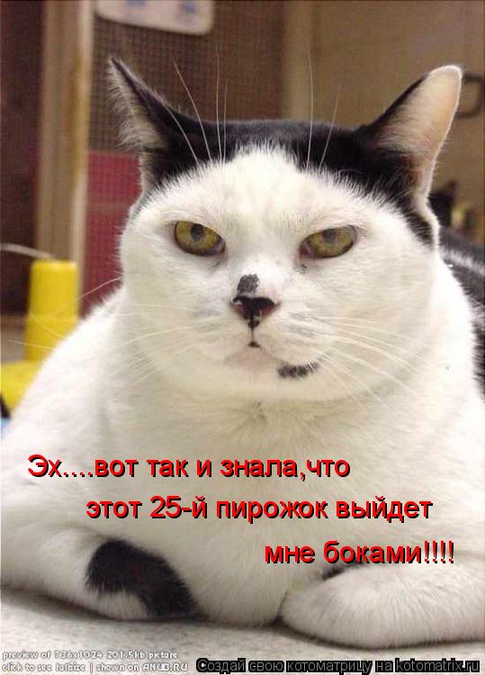 этот 25-й пирожок выйдет мне боками!!!! Эх....вот так и знала,что... Котоматрица: этот 25-й пирожок выйдет мне боками!!!! Эх....вот так и знала,что