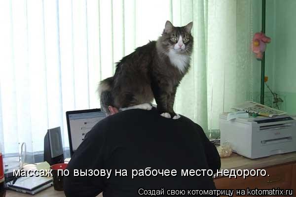 массаж по вызову на рабочее место,недорого.... Котоматрица: массаж по вызову на рабочее место,недорого.