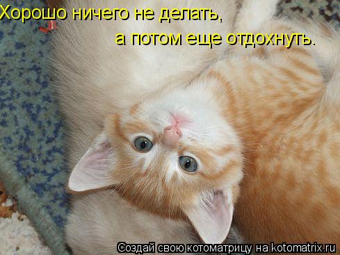 Хорошо ничего не делать, а потом еще отдохнуть.... Котоматрица: Хорошо ничего не делать, а потом еще отдохнуть.