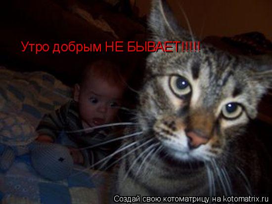 Котоматрица: Утро добрым НЕ БЫВАЕТ!!!!!