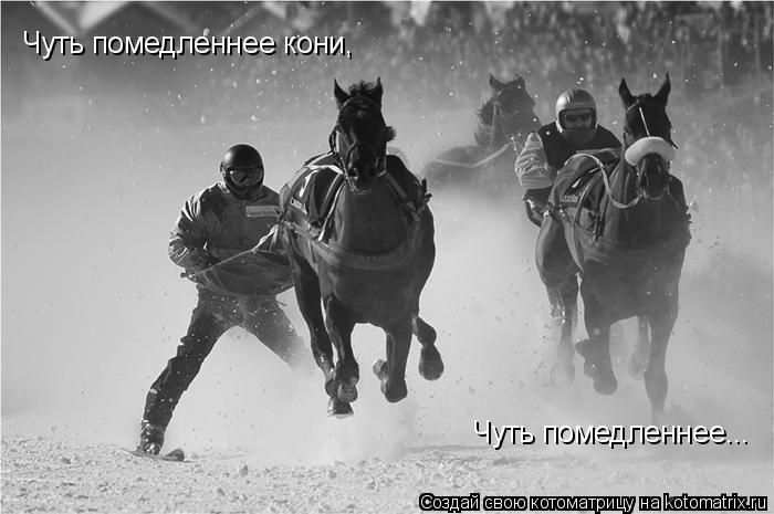Чуть помедленнее кони, Чуть помедленнее...... Котоматрица: Чуть помедленнее кони, Чуть помедленнее...