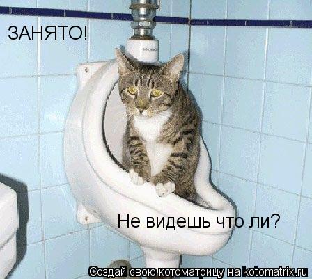 ЗАНЯТО! Не видешь что ли?... Котоматрица: ЗАНЯТО! Не видешь что ли?