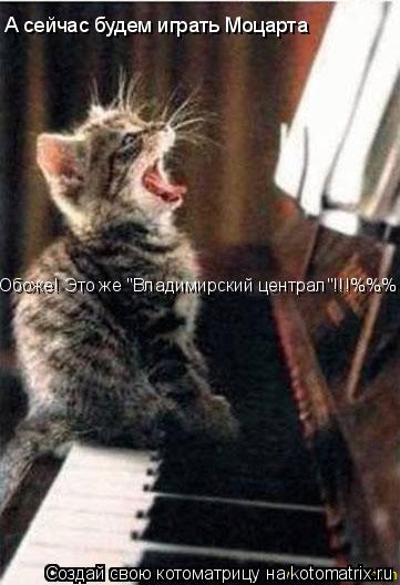 Котоматрица: А сейчас будем играть Моцарта Обоже! Это же "Владимирский централ"!!!%%%