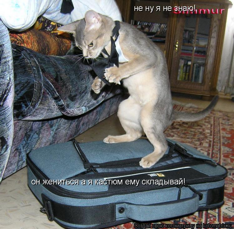 не ну я не знаю! он жениться а я кастюм ему складывай!... Котоматрица: не ну я не знаю! он жениться а я кастюм ему складывай!