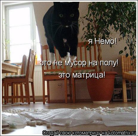 я Немо! это матрица! это не мусор на полу!... Котоматрица: я Немо! это матрица! это не мусор на полу!