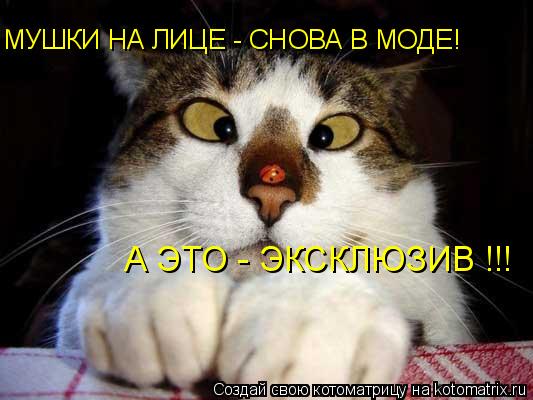 МУШКИ НА ЛИЦЕ - СНОВА В МОДЕ! А ЭТО - ЭКСКЛЮЗИВ !!!... Котоматрица: МУШКИ НА ЛИЦЕ - СНОВА В МОДЕ! А ЭТО - ЭКСКЛЮЗИВ !!!