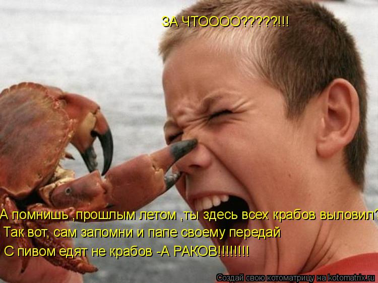 ЗА ЧТОООО?????!!! А помнишь ,прошлым летом ,ты здесь всех крабов выловил?! Так вот, сам запомни и пап... Котоматрица: ЗА ЧТОООО?????!!! А помнишь ,прошлым летом ,ты здесь всех крабов выловил?! Так вот, сам запомни и папе своему передай С пивом едят не крабов -А РАК
