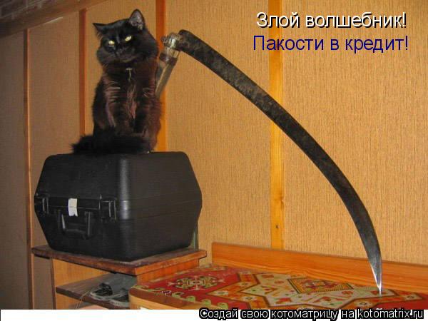 Злой волшебник! Пакости в кредит!... Котоматрица: Злой волшебник! Пакости в кредит!