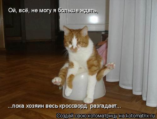 Ой, всё, не могу я больше ждать, ...пока хозяин весь кроссворд разгадает...... Котоматрица: Ой, всё, не могу я больше ждать, ...пока хозяин весь кроссворд разгадает...