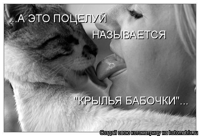 ...А ЭТО ПОЦЕЛУЙ НАЗЫВАЕТСЯ "КРЫЛЬЯ БАБОЧКИ"...... Котоматрица: ...А ЭТО ПОЦЕЛУЙ НАЗЫВАЕТСЯ "КРЫЛЬЯ БАБОЧКИ"...