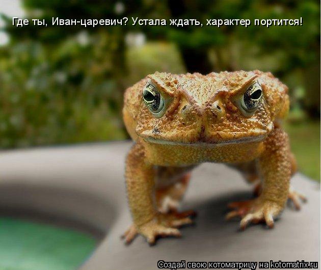 Где ты, Иван-царевич? Устала ждать, характер портится!... Котоматрица: Где ты, Иван-царевич? Устала ждать, характер портится!