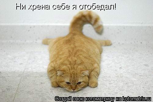 Ни хрена себе я отобедал!... Котоматрица: Ни хрена себе я отобедал!