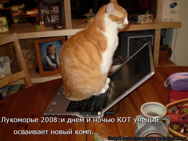 Лукоморье 2008:и днем и ночью КОТ ученый осваивает новый комп...... Котоматрица: Лукоморье 2008:и днем и ночью КОТ ученый осваивает новый комп...