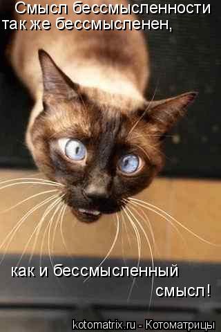 Смысл бессмысленности так же бессмысленен, как и бессмысленный смысл!... Котоматрица: Смысл бессмысленности так же бессмысленен, как и бессмысленный смысл!