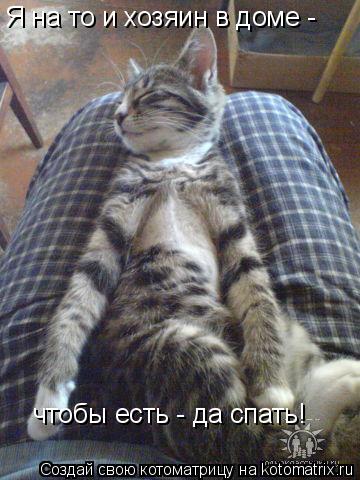 Я на то и хозяин в доме - чтобы есть - да спать!... Котоматрица: Я на то и хозяин в доме - чтобы есть - да спать!