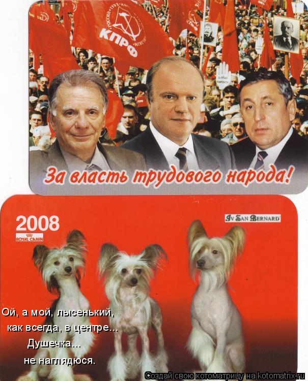 Ой, а мой, лысенький, как всегда, в центре... не наглядюся. Душечка...... Котоматрица: Ой, а мой, лысенький, как всегда, в центре... не наглядюся. Душечка...