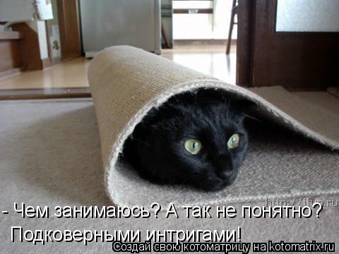 - Чем занимаюсь? А так не понятно? Подковерными интригами!... Котоматрица: - Чем занимаюсь? А так не понятно? Подковерными интригами!