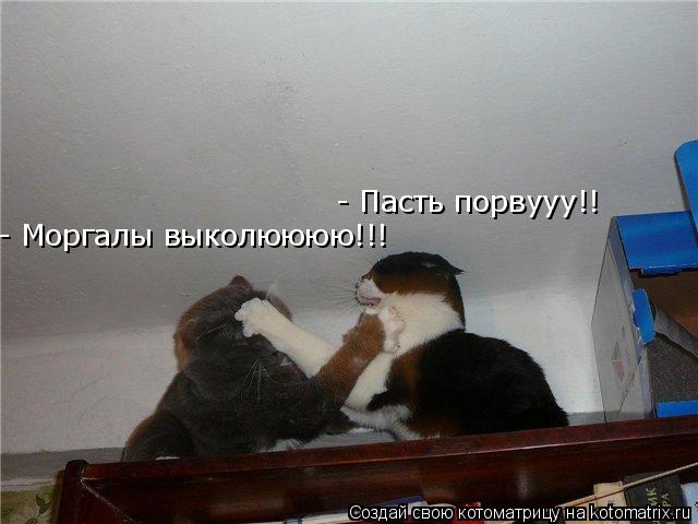- Пасть порвууу!! - Моргалы выколюююю!!!... Котоматрица: - Пасть порвууу!! - Моргалы выколюююю!!!