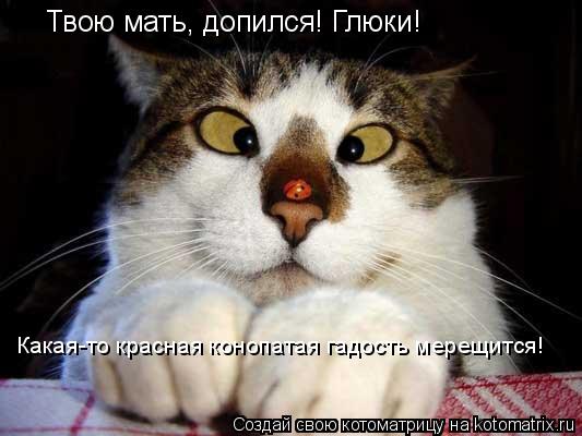Твою мать, допился! Глюки! Какая-то красная конопатая гадость мерещится!... Котоматрица: Твою мать, допился! Глюки! Какая-то красная конопатая гадость мерещится!