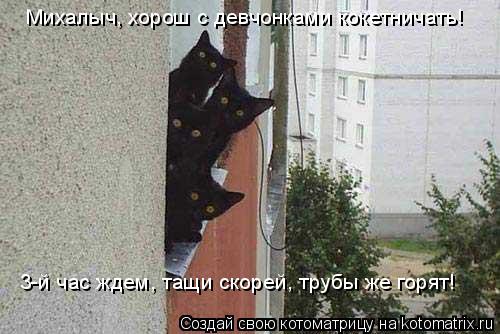 Михалыч, хорош с девчонками кокетничать! 3-й час ждем, тащи скорей, трубы же горят!... Котоматрица: Михалыч, хорош с девчонками кокетничать! 3-й час ждем, тащи скорей, трубы же горят!