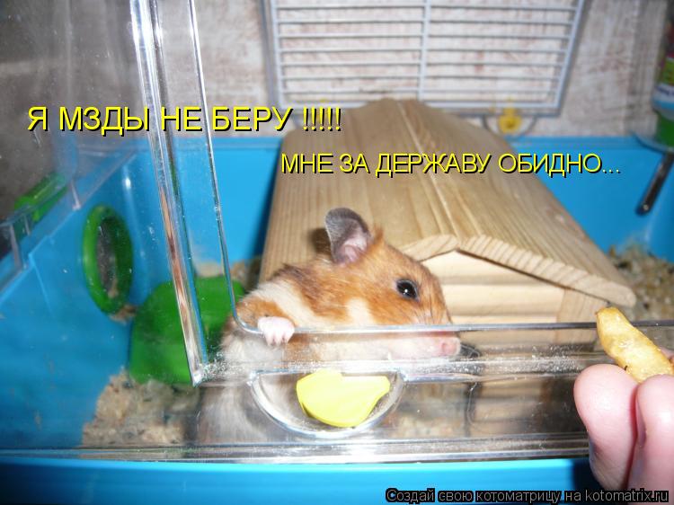 Я МЗДЫ НЕ БЕРУ !!!!! МНЕ ЗА ДЕРЖАВУ ОБИДНО...... Котоматрица: Я МЗДЫ НЕ БЕРУ !!!!! МНЕ ЗА ДЕРЖАВУ ОБИДНО...