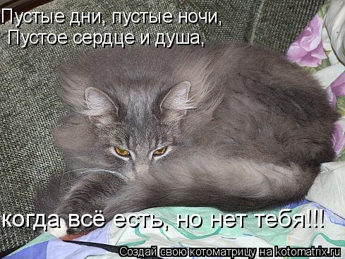 Пустые дни, пустые ночи, Пустое сердце и душа, когда всё есть, но нет тебя!!!... Котоматрица: Пустые дни, пустые ночи, Пустое сердце и душа, когда всё есть, но нет тебя!!!