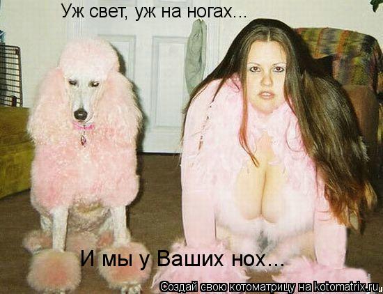 Уж свет, уж на ногах... И мы у Ваших нох...... Котоматрица: Уж свет, уж на ногах... И мы у Ваших нох...
