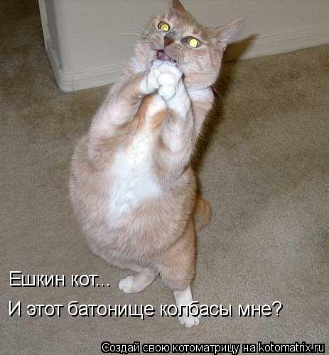 Ешкин кот... И этот батонище колбасы мне?... Котоматрица: Ешкин кот... И этот батонище колбасы мне?