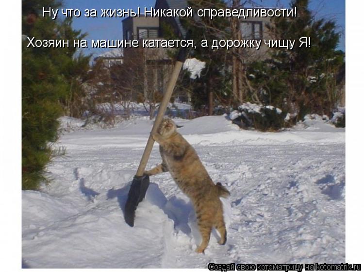 Ну что за жизнь! Никакой справедливости! Хозяин на машине катается, а дорожку чищу Я!... Котоматрица: Ну что за жизнь! Никакой справедливости! Хозяин на машине катается, а дорожку чищу Я!