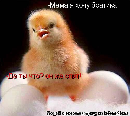 -Мама я хочу братика! -Да ты что? он же спит!... Котоматрица: -Мама я хочу братика! -Да ты что? он же спит!