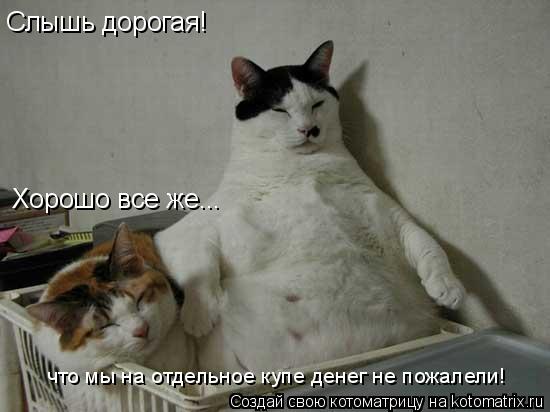 Слышь дорогая! Хорошо все же... что мы на отдельное купе денег не пожалели!... Котоматрица: Слышь дорогая! Хорошо все же... что мы на отдельное купе денег не пожалели!