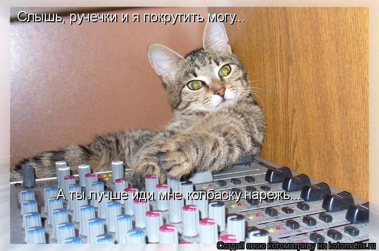 Слышь, ручечки и я покрутить могу... А ты лучше иди мне колбаску нарежь...... Котоматрица: Слышь, ручечки и я покрутить могу... А ты лучше иди мне колбаску нарежь...