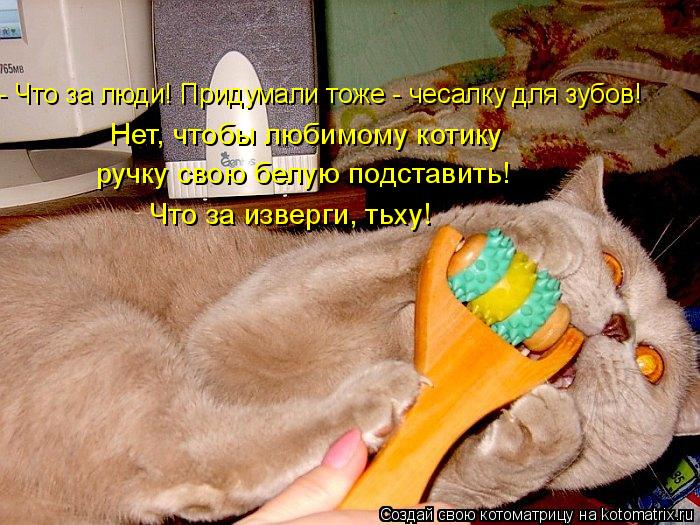 - Что за люди! Придумали тоже - чесалку для зубов! Нет, чтобы любимому котику ручку свою белую подст... Котоматрица: - Что за люди! Придумали тоже - чесалку для зубов! Нет, чтобы любимому котику ручку свою белую подставить! Что за изверги, тьху!