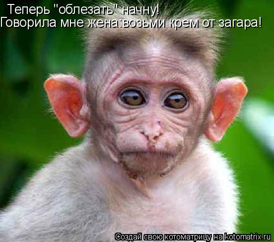 Теперь "облезать" начну! Говорила мне жена:возьми крем от загара!... Котоматрица: Теперь "облезать" начну! Говорила мне жена:возьми крем от загара!