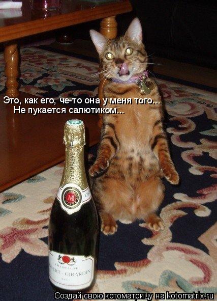 Это, как его, че-то она у меня того... Не пукается салютиком...... Котоматрица: Это, как его, че-то она у меня того... Не пукается салютиком...