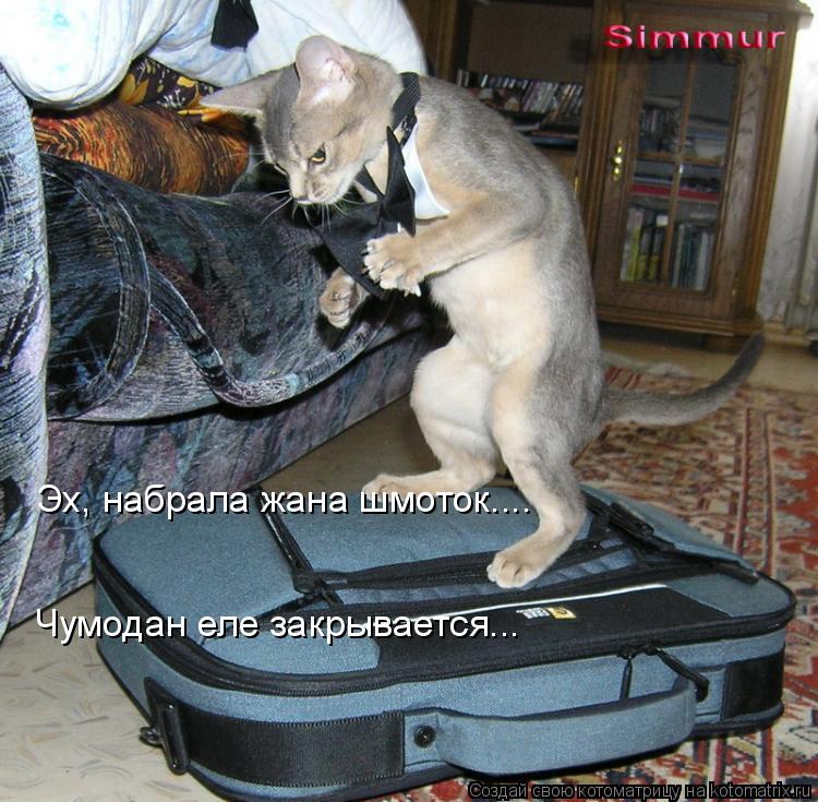 Эх, набрала жана шмоток.... Чумодан еле закрывается...... Котоматрица: Эх, набрала жана шмоток.... Чумодан еле закрывается...