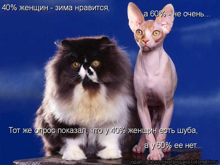 40% женщин - зима нравится, а 60% - не очень... Тот же опрос показал, что у 40% женщин есть шуба, а у... Котоматрица: 40% женщин - зима нравится, а 60% - не очень... Тот же опрос показал, что у 40% женщин есть шуба, а у 60% ее нет...