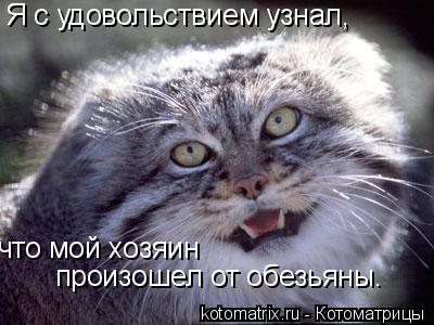 Я с удовольствием узнал, что мой хозяин произошел от обезьяны.... Котоматрица: Я с удовольствием узнал, что мой хозяин произошел от обезьяны.