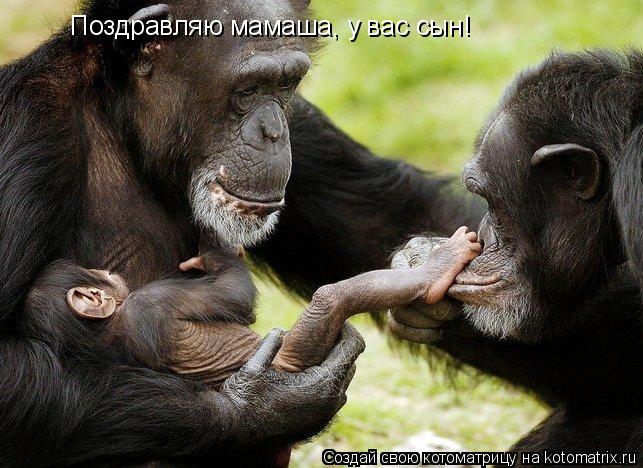 Поздравляю мамаша, у вас сын!... Котоматрица: Поздравляю мамаша, у вас сын!