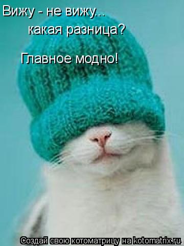 Вижу - не вижу... какая разница? Главное модно!... Котоматрица: Вижу - не вижу... какая разница? Главное модно!