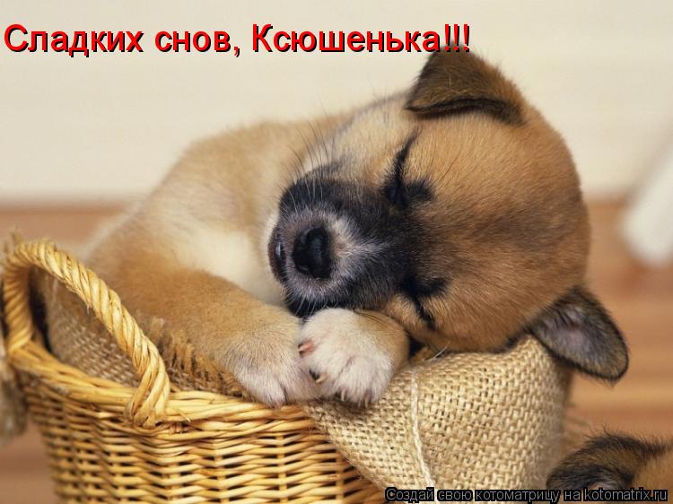 Котоматрица: Сладких снов, Ксюшенька!!!