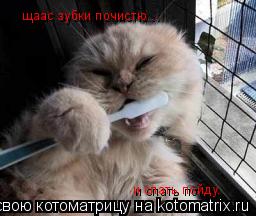 щаас зубки почистю... и спать пойду.... Котоматрица: щаас зубки почистю... и спать пойду.