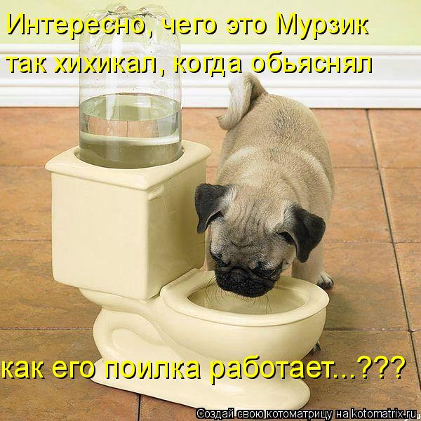 Интересно, чего это Мурзик так хихикал, когда обьяснял как его поилка работает...???... Котоматрица: Интересно, чего это Мурзик так хихикал, когда обьяснял как его поилка работает...???