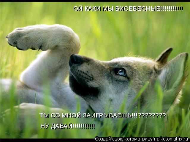 ОЙ КАКИ МЫ БИСЕВЕСНЫЕ!!!!!!!!!!! ТЫ СО МНОЙ ЗАИГРЫВАЕШЬ!!!???????? НУ ДАВАЙ!!!!!!!!!!!... Котоматрица: ОЙ КАКИ МЫ БИСЕВЕСНЫЕ!!!!!!!!!!! ТЫ СО МНОЙ ЗАИГРЫВАЕШЬ!!!???????? НУ ДАВАЙ!!!!!!!!!!!